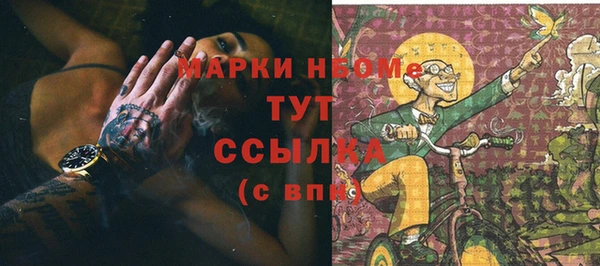 соль ск Богданович