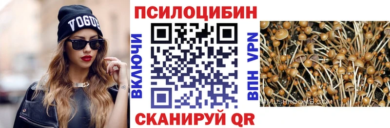 Псилоцибиновые грибы Cubensis  где продают   Навашино 