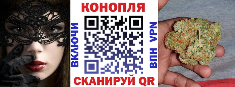 Бошки марихуана сатива Навашино